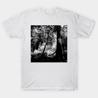 Hillside Trail, Muir Woods National Monument T-Shirt